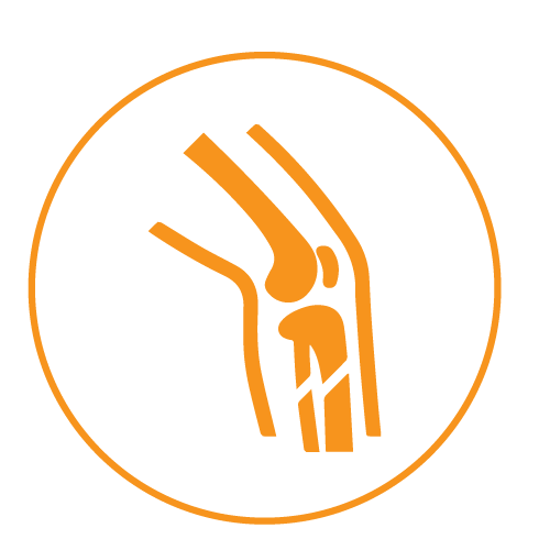 ORTHOPEDIC