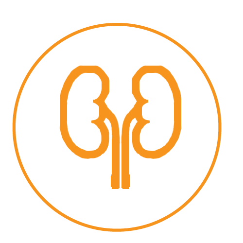 NEPHROLOGY 